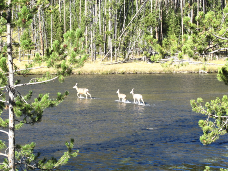 North To Alaska Caravan 2024 ACI   North To Alaska 0 